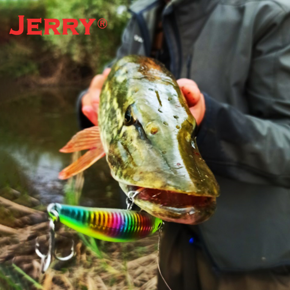 Jerry Arrow Sinking Casting Tr - Fishing Equipment Bait ulasan dan harga