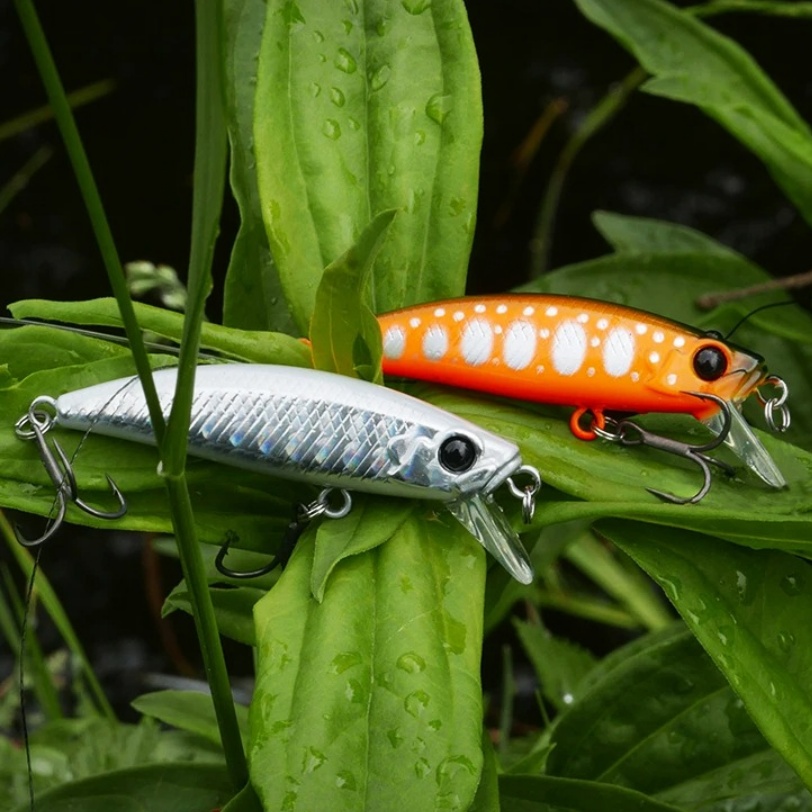 TSURINOYA 10PCS 51mm 5.8g Intr - Fishing Equipment Kit ulasan dan harga